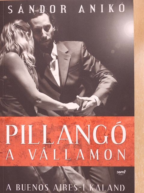 Sándor Anikó - Pillangó a vállamon [antikvár]