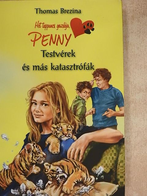 Thomas Brezina - Testvérek és más katasztrófák [antikvár]