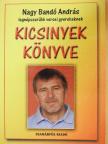 Nagy Bandó András - Kicsinyek Könyve [antikvár]