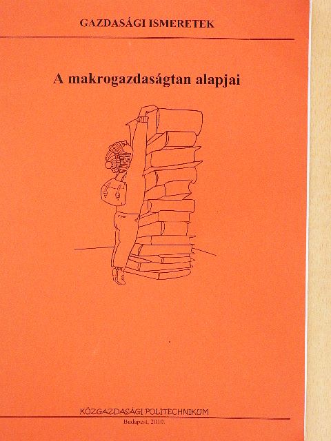 A makrogazdaságtan alapjai [antikvár]