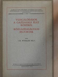 dr. Winkler Béla - Vizsgálódások a gazdasági élet köréből/Közgazdaságtani jegyzetek [antikvár]