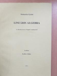 Molnárka Győző - Lineáris algebra [antikvár]