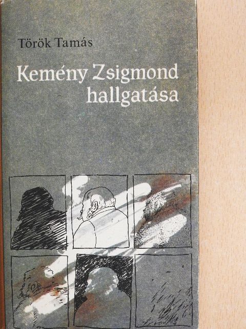 Török Tamás - Kemény Zsigmond hallgatása [antikvár]