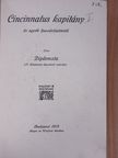 Diplomata - Cincinnatus kapitány/Nagy dolog a háboru [antikvár]