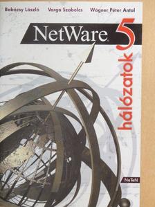 Babócsy László - NetWare 5 hálózatok [antikvár]