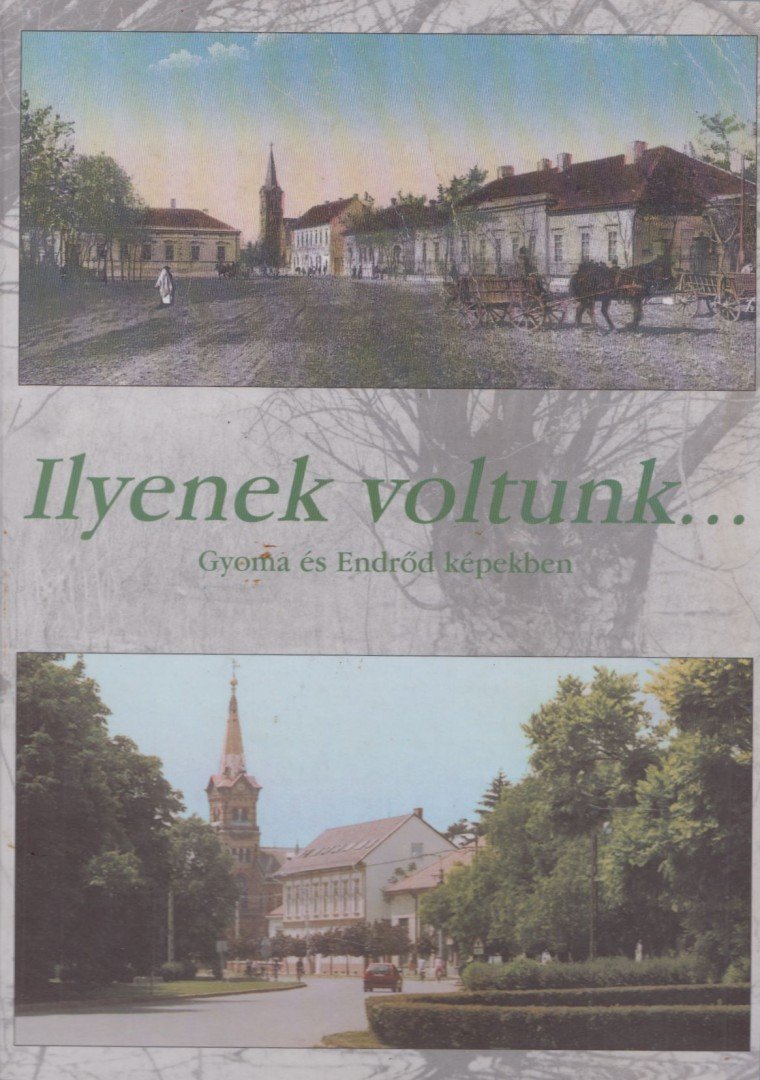 Ilyenek voltunk... [antikvár]