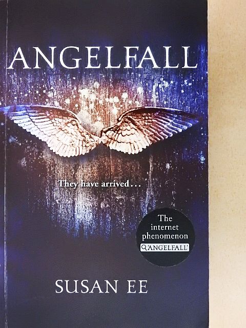 Susan Ee - Angelfall [antikvár]