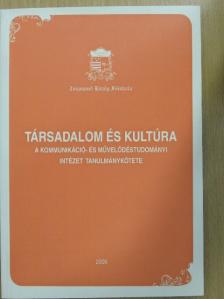 Bajomi-Lázár Péter - Társadalom és kultúra [antikvár]