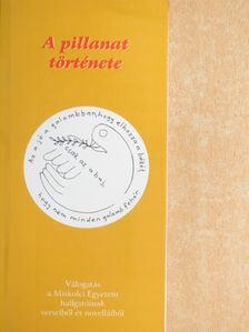 Apáti Ildikó - A pillanat története [antikvár]