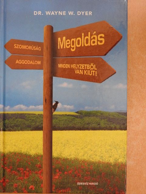 Dr. Wayne W. Dyer - Megoldás [antikvár]
