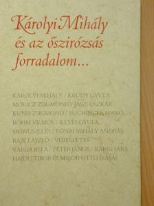 Böhm Vilmos - Károlyi Mihály és az őszirózsás forradalom... [antikvár]