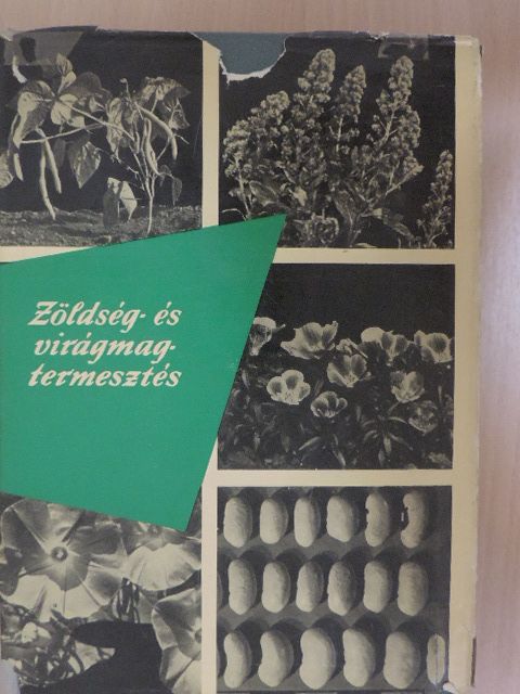Angeli Lambert - Zöldség- és virágmagtermesztés [antikvár]