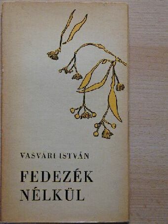 Vasvári István - Fedezék nélkül [antikvár]