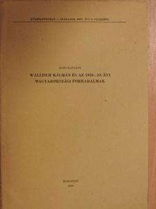 Soós Katalin - Wallisch Kálmán és az 1918-19. évi magyarországi forradalmak [antikvár]