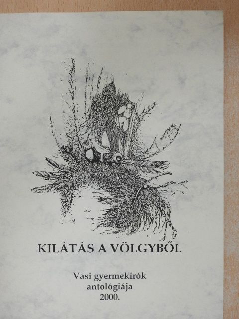 Kilátás a völgyből [antikvár]