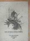 Kilátás a völgyből [antikvár]