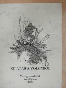 Kilátás a völgyből [antikvár]
