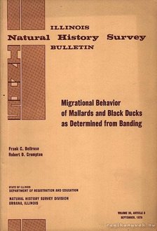 Crompton, Robert D., Frank C. Bellrose - Migrational Behavior of Mallards and Black Ducks as Determined from Banding (Vad és feketekacsák vándorlási szokásai az éghajlati övek függvényében) [antikvár]
