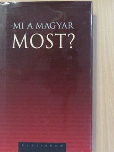 Bauer Tamás - Mi a magyar most? [antikvár]