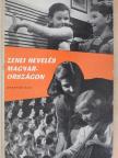 Fasang Árpád - Zenei nevelés Magyarországon [antikvár]