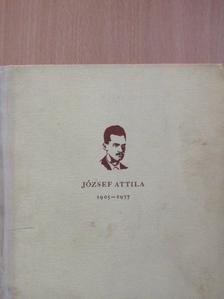 József Attila 1905-1937 [antikvár]