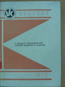 A vállalati termelésszervezés időszerű problémái és feladatai [antikvár]