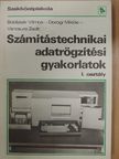 Boldizsár Vilmos - Számítástechnikai adatrögzítési gyakorlatok [antikvár]