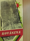 Benkő Gyula - Kovászna [antikvár]