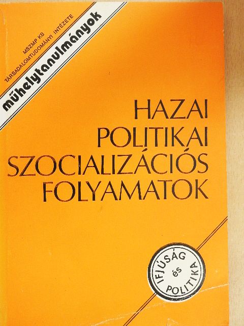 Boros László - Hazai politikai szocializációs folyamatok [antikvár]