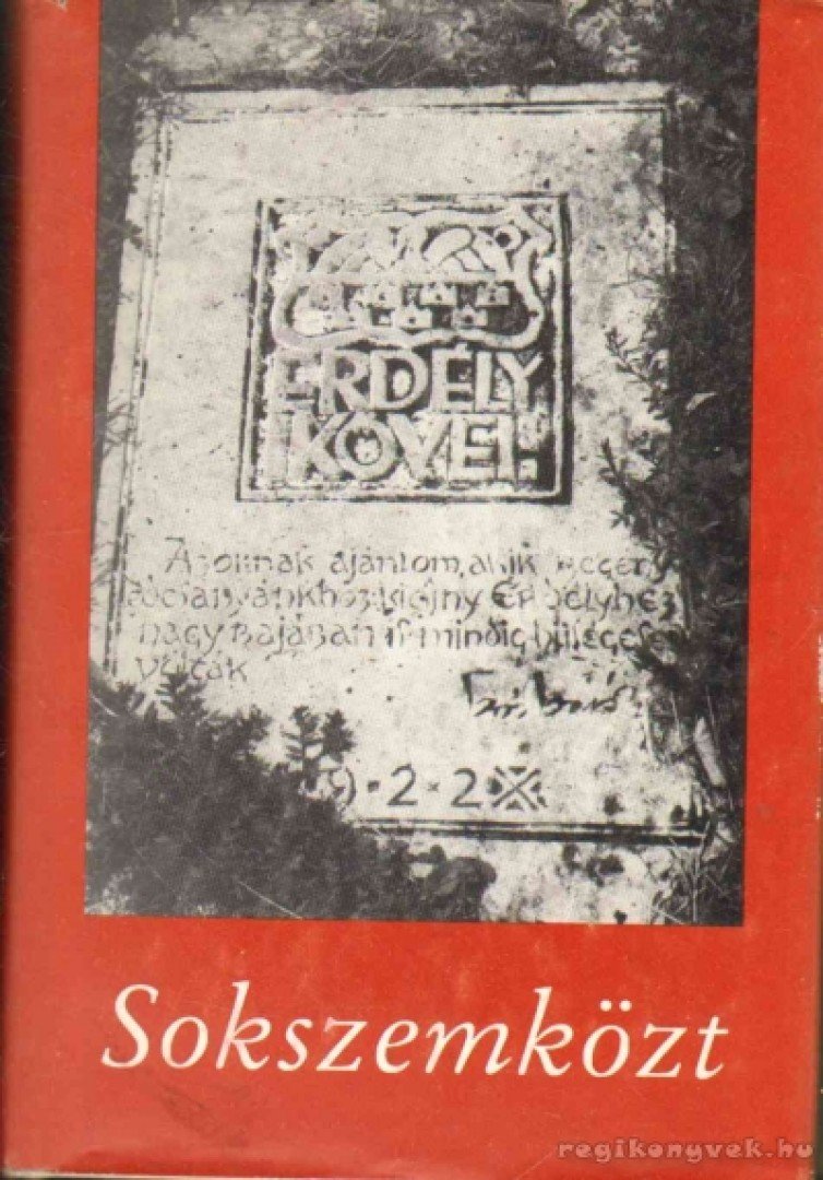 Dávid Gyula, Veress Zoltán - Sokszemközt [antikvár]