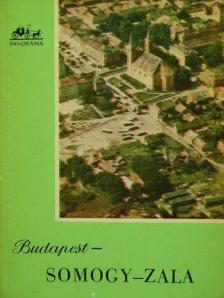 Hidasi György - Budapest-Somogy-Zala [antikvár]