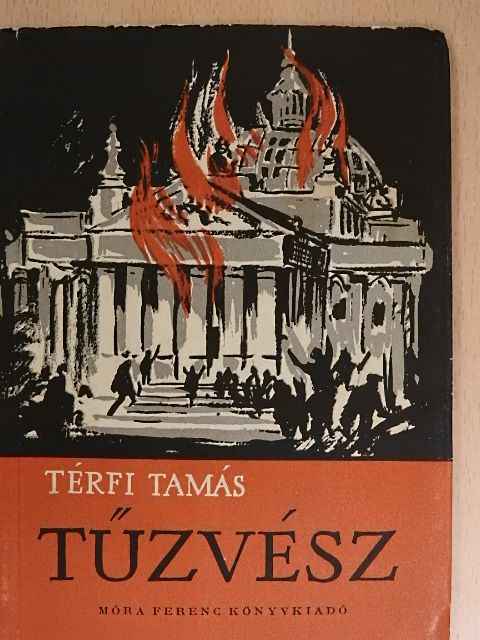 Térfi Tamás - Tűzvész [antikvár]