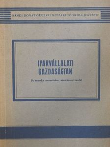 Dr. Varga Sándor - Iparvállalati gazdaságtan [antikvár]