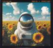 TEARS FOR FEARS - SONGS FOR A NERVOUS PLANET 2CD TEARS FOR FEARS