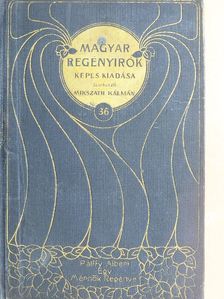 Pálffy Albert - Egy mérnök regénye [antikvár]