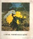 Fühök Levente-Szitta Tamás - A Bükk természeti képe [antikvár]