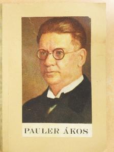 Pauler Ákos - Bevezetés a filozófiába [antikvár]