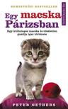 Peter Gethers - Egy macska Párizsban - Egy különleges macska és tökéletlen gazdija igaz története