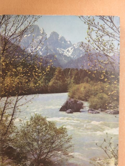 Theo Herbst - Steiermark [antikvár]