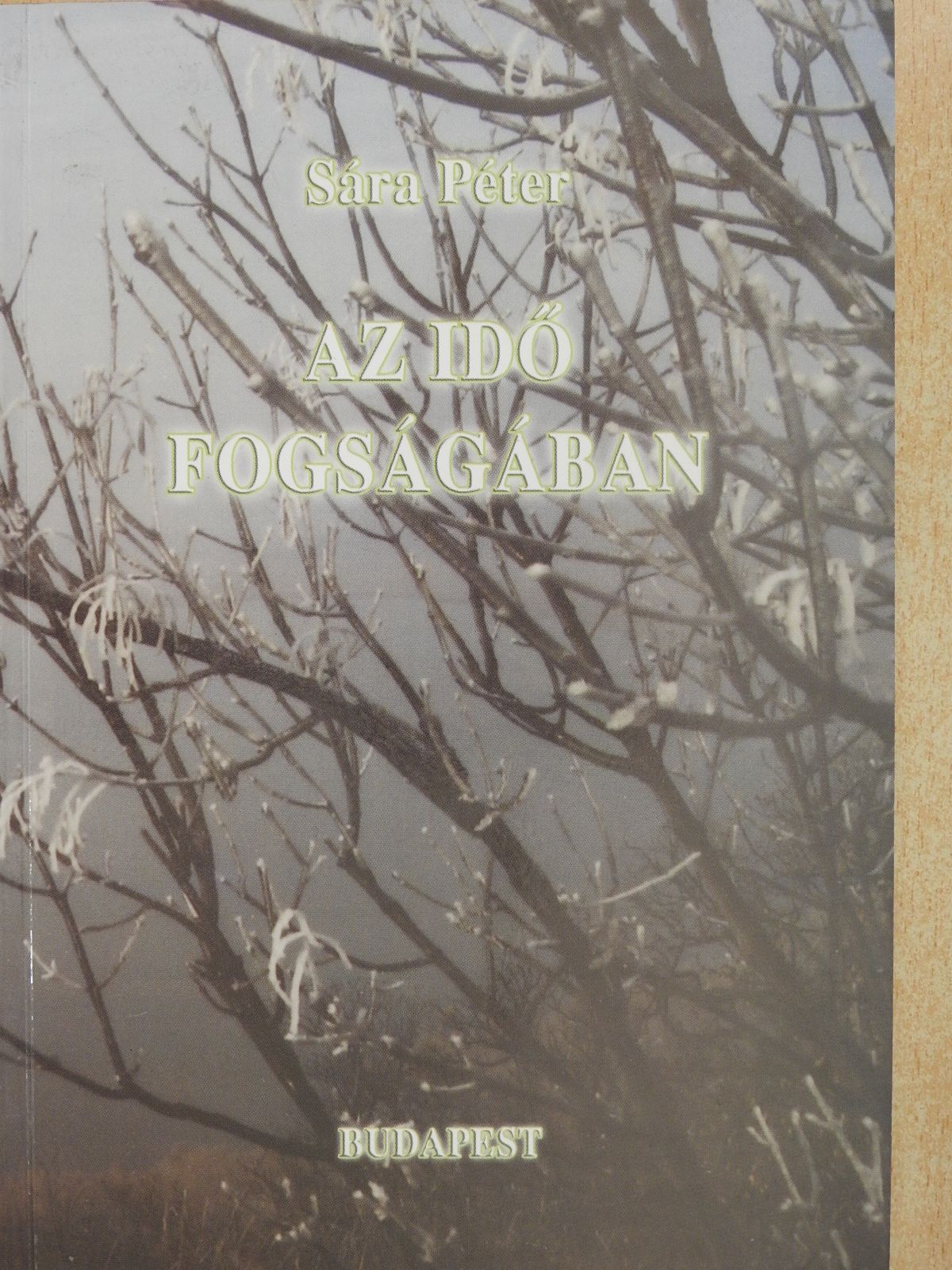 Sára Péter - Az idő fogságában (dedikált példány) [antikvár]
