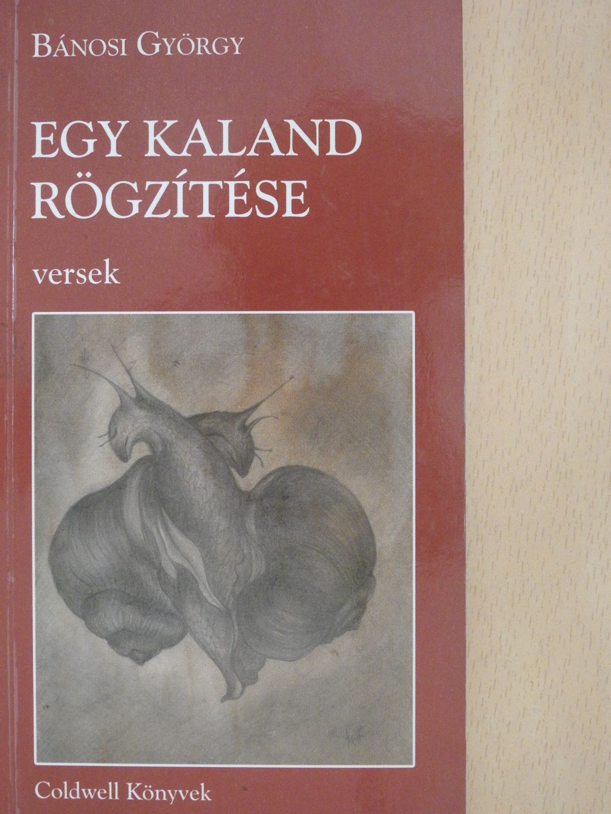 Bánosi György - Egy kaland rögzítése (dedikált példány) [antikvár]