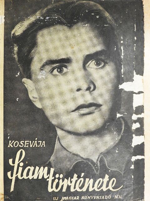 Kosevája - Fiam története [antikvár]