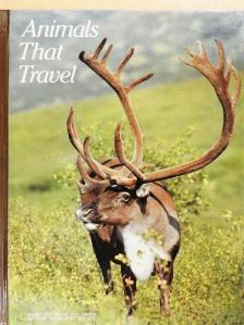 Jennifer C. Urquhart - Animals That Travel [antikvár]
