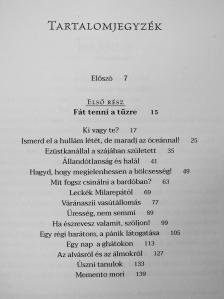 Helen Tworkov - Szerelemben a világgal [antikvár]