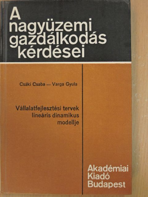 Dr. Csáki Csaba - Vállalatfejlesztési tervek lineáris dinamikus modellje [antikvár]