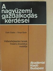 Dr. Csáki Csaba - Vállalatfejlesztési tervek lineáris dinamikus modellje [antikvár]