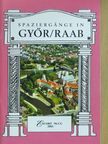 Bedécs Gyula - Spaziergänge in Győr/Raab [antikvár]