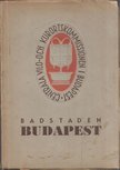 Szviezsényi Zoltán - Badstaden Budapest [antikvár]