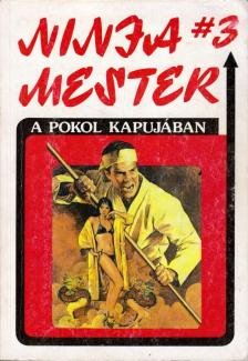 Barker, Wade - Ninja mester 3. - A pokol kapujában [antikvár]