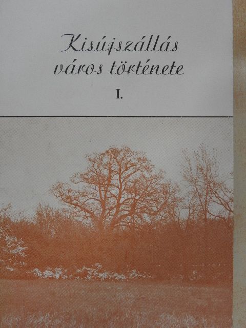 Dr. Borók Imre - Kisújszállás város története I. [antikvár]